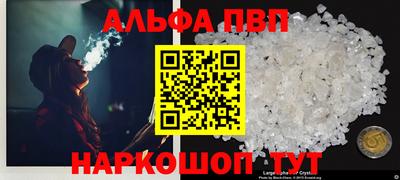 спайс Кингисепп