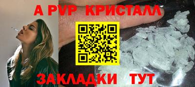 спайс Кингисепп