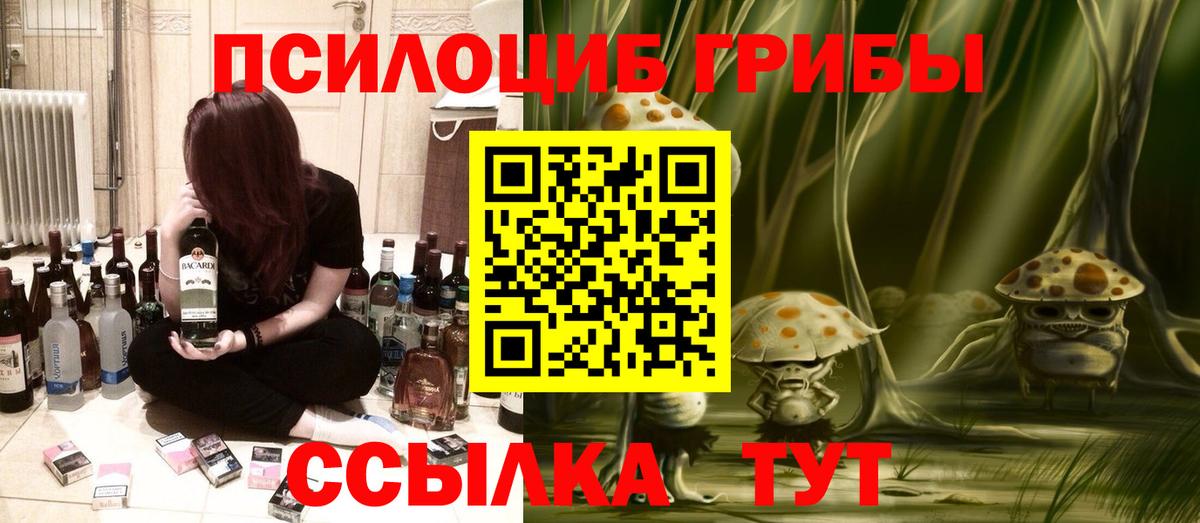 Шуя  Псилоцибиновые грибы мицелий  купить наркотики цена  Вход с VPN 