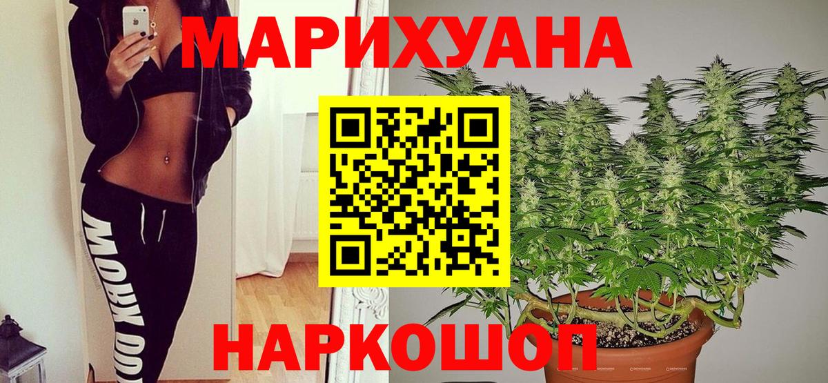 Бошки марихуана конопля Шуя